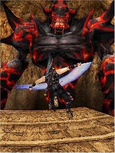 Ninja Gaiden - Dragon Sword (usagé)