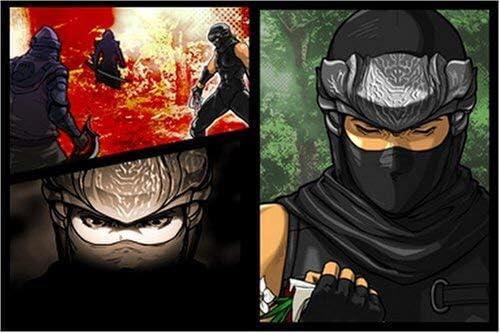 Ninja Gaiden - Dragon Sword (usagé)