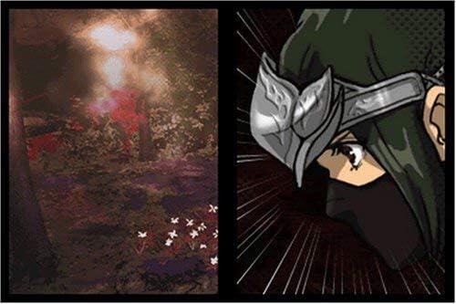 Ninja Gaiden - Dragon Sword (usagé)