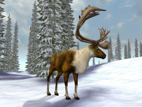 Cabela's Legendary Adventures (usagé)