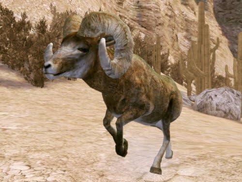 Cabela's Legendary Adventures (usagé)