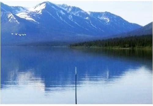 Reel Fishing:  Angler's Dream (usagé)