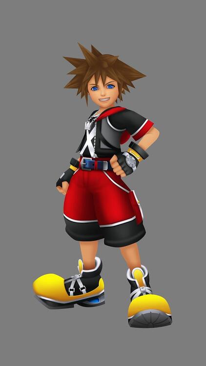 Kingdom Hearts 3D: Dream Drop Distance (usagé)