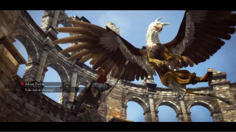 Dragon's Dogma (usagé)