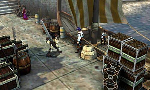 Heroes of Ruin (used)