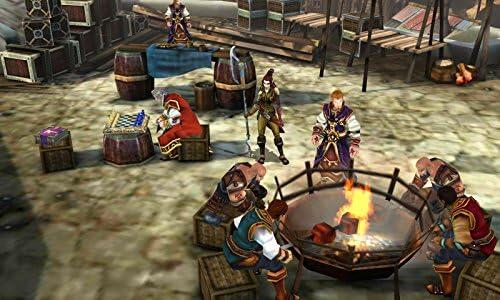 Heroes of Ruin (used)