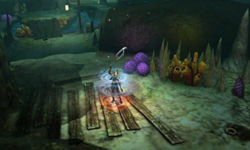 Heroes of Ruin (used)