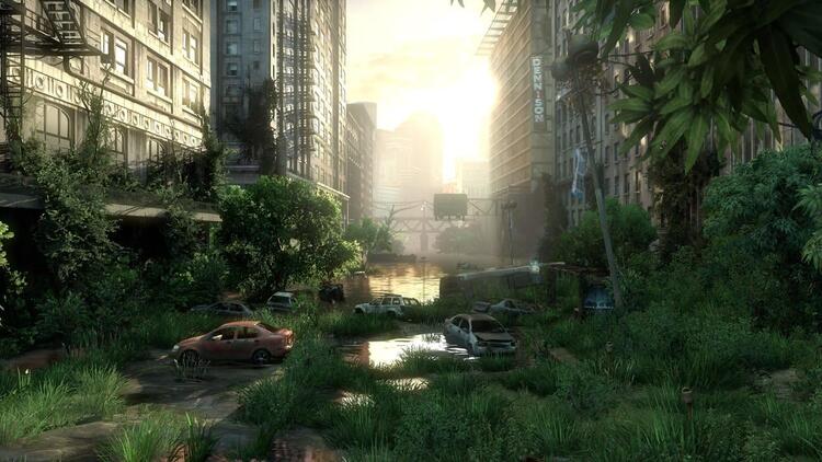 The Last of Us (usagé)