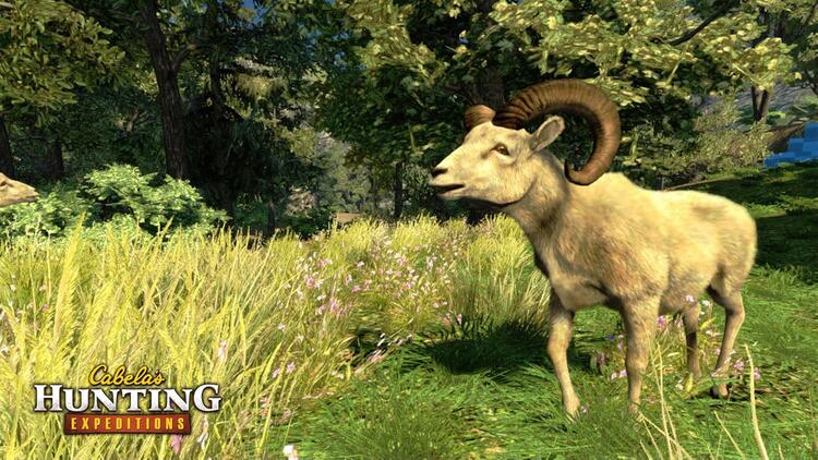 Cabela's hunting Expeditions (usagé)