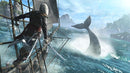 Assassin's Creed IV - Black Flag