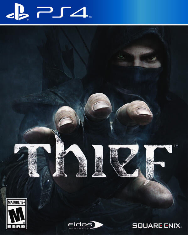 Thief (used)