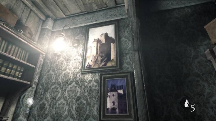 Thief (used)