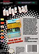 Super Dodge Ball (used)