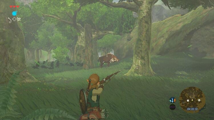 The Legend of Zelda: Breath of the Wild (used)