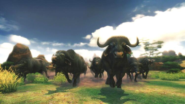 Cabela's African Adventures (usagé)