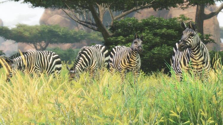 Cabela's African Adventures (usagé)