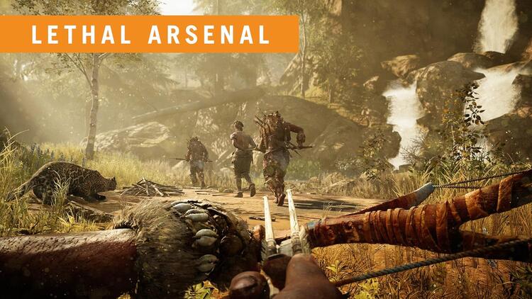 Farcry Primal (usagé)