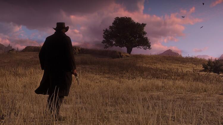 Red Dead Redemption II (used)