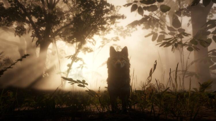 Red Dead Redemption II (used)