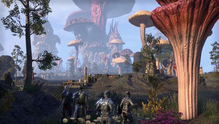 The Elder scrolls Online  -  Morrowing (usagé)