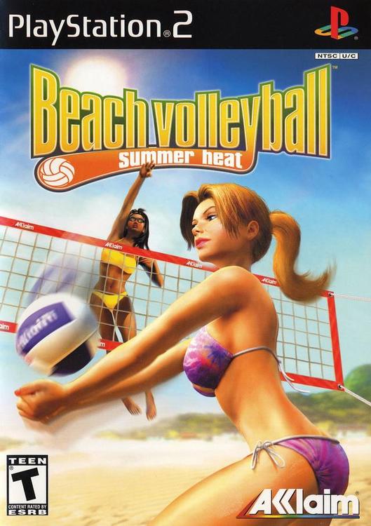Summer Heat Beach Volleyball (used)