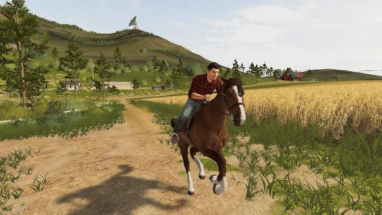 Farming Simulator 20 (usagé)