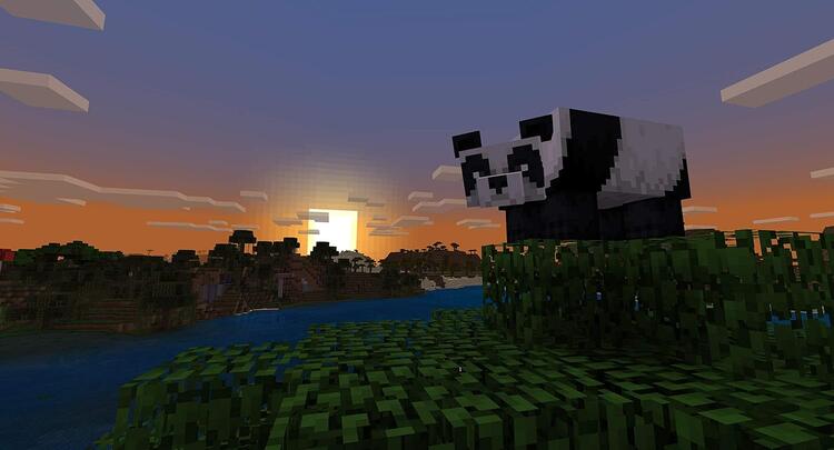 minecraft - Starter Pack