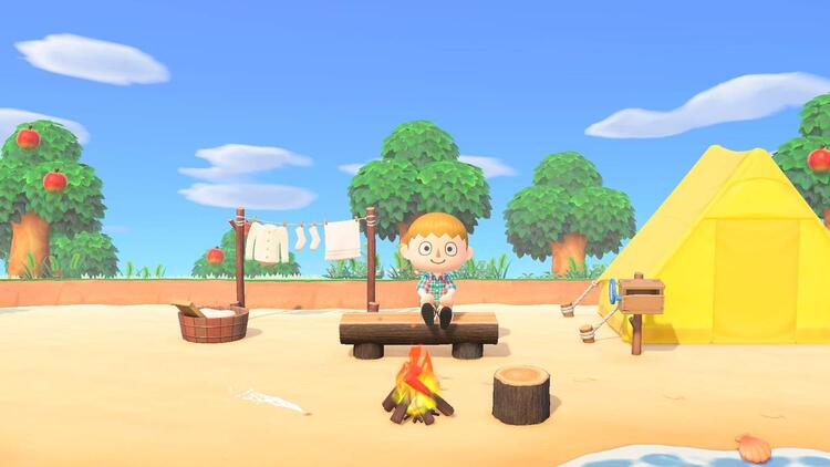 Welcome to Animal Crossing - New Horizons (usagé)