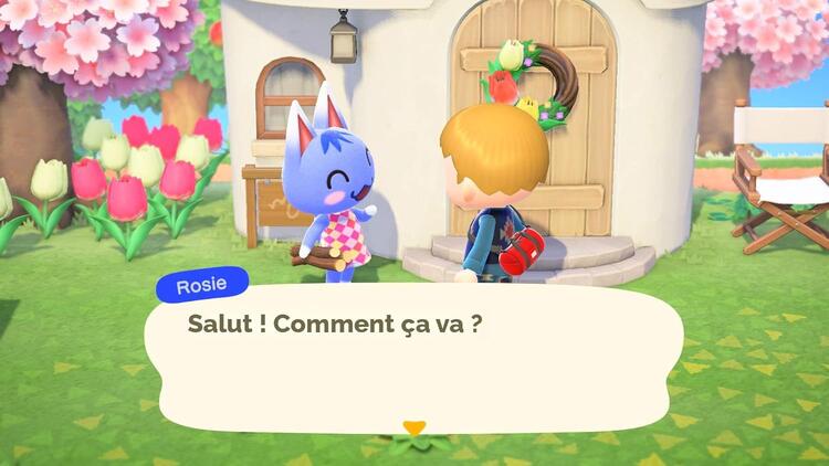 Welcome to Animal Crossing - New Horizons (usagé)