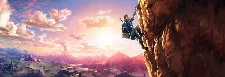 The Legend of Zelda: Breath of the Wild (used)
