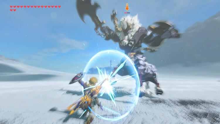 The Legend of Zelda: Breath of the Wild (used)