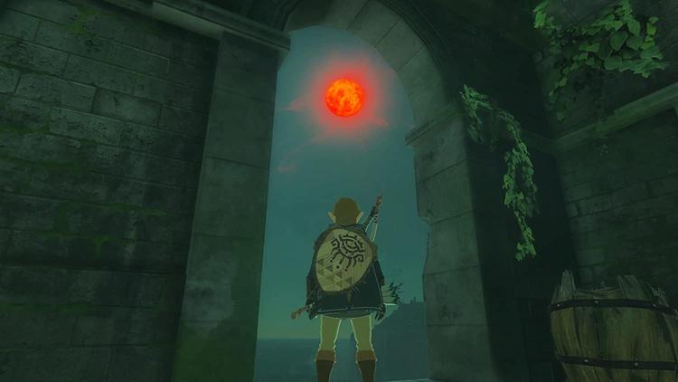 The Legend of Zelda  -  Tears of the Kindom (usagé)
