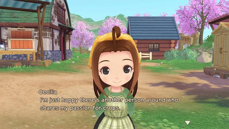 Story of Seasons - A Wonderful life