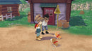 Story of Seasons - A Wonderful life