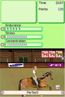 My Horse & Me  [PAL Version, Region Free] (usagé)