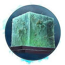 Dungeons & Dragons - D&D Monsterhandboek 2024