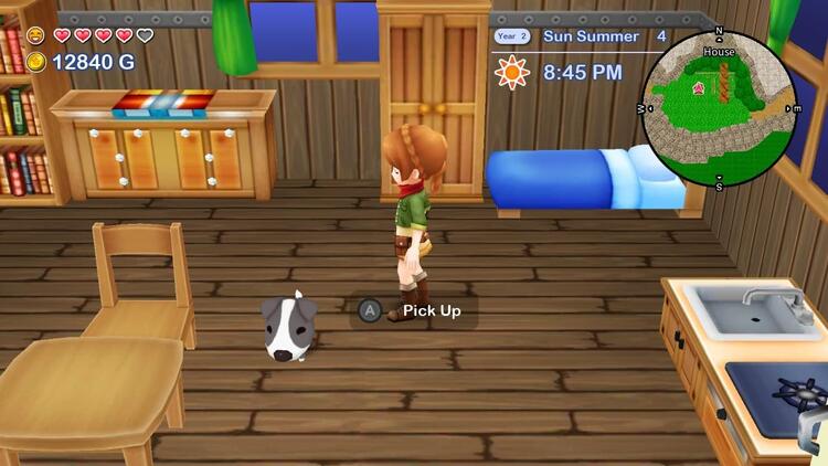Harvest Moon - The Lost Valley & Skytree Village