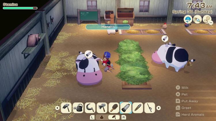 Story of Seasons:  Grand Bazaar