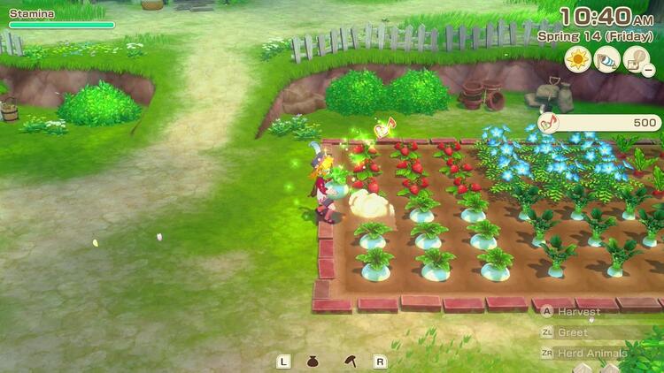 Story of Seasons:  Grand Bazaar