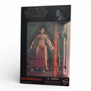 Hasbro Action Figure