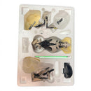 Gentle Giant Mini Bust - General Grievous (3212/7000) - Star Wars Collectible