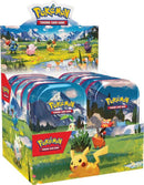 ポケモン メガエボリューション アセンデッドヒーローズ ミニティン [ランダムミニティン]