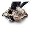 Gothic Medieval Horned Beast Head Skull horror Trophy Wall