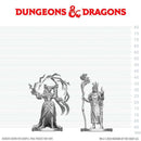 Wizkids - Dungeons & Dragons Nolzur's Marvelous Miniatures  -  Human Druid & Elf Sorcerer