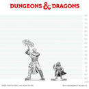 Wizkids - Dungeons & Dragons Nolzur's Marvelous Miniatures  -  Goliath Barbarian & Halfling Rogue