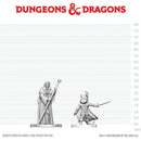 Wizkids - Dungeons & Dragons Nolzur's Marvelous Miniatures  -  Cultist of Bhaal & Cultist of Myrkul