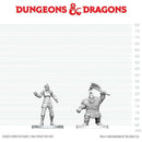 Wizkids - Dungeons & Dragons Nolzur's Marvelous Miniatures  -  Cultist of Bane & Dwarf Zhentilar Soldier