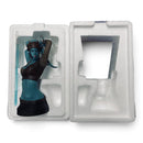 Gentle Giant Mini Bust - Aayla Secura (1990/4250) - Star Wars Collectible
