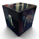 Gentle Giant Mini Bust - Oola (1136/2700) - Star Wars Collectible