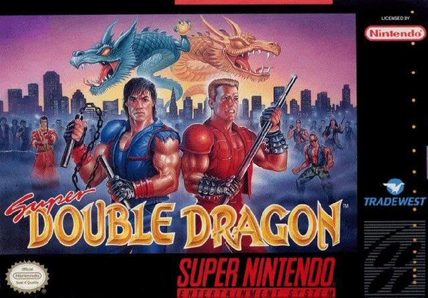 SUPER DOUBLE DRAGON ( Cartridge only ) (used)